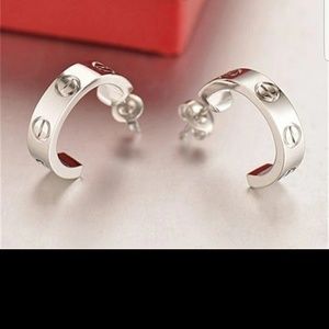 Beautiful semicircle titanium earrings